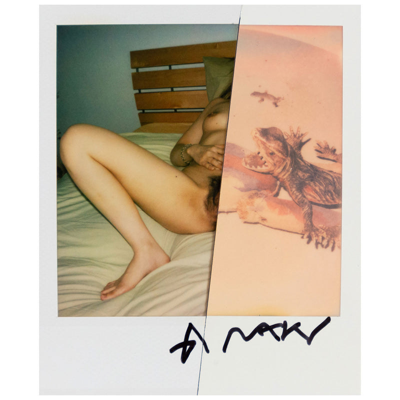 NOBUYOSHI ARAKI "SLICED DIPTYCH" POLAROIDS, c. 2000s