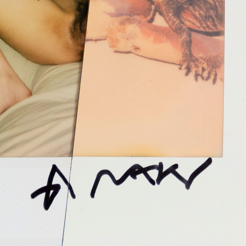 NOBUYOSHI ARAKI "SLICED DIPTYCH" POLAROIDS, c. 2000s