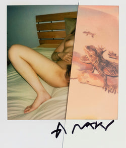 NOBUYOSHI ARAKI "SLICED DIPTYCH" POLAROIDS, c. 2000s