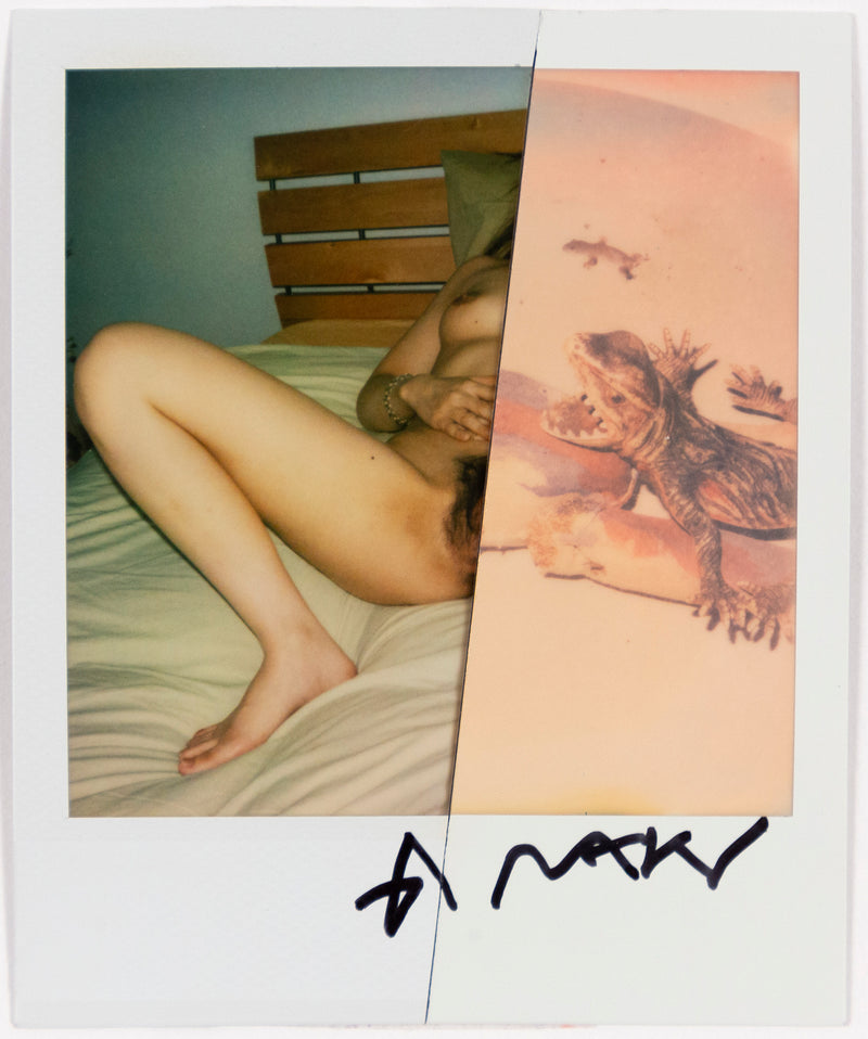 NOBUYOSHI ARAKI "SLICED DIPTYCH" POLAROIDS, c. 2000s