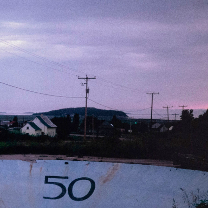 PETER DOIG "50" C-PRINT, 2000