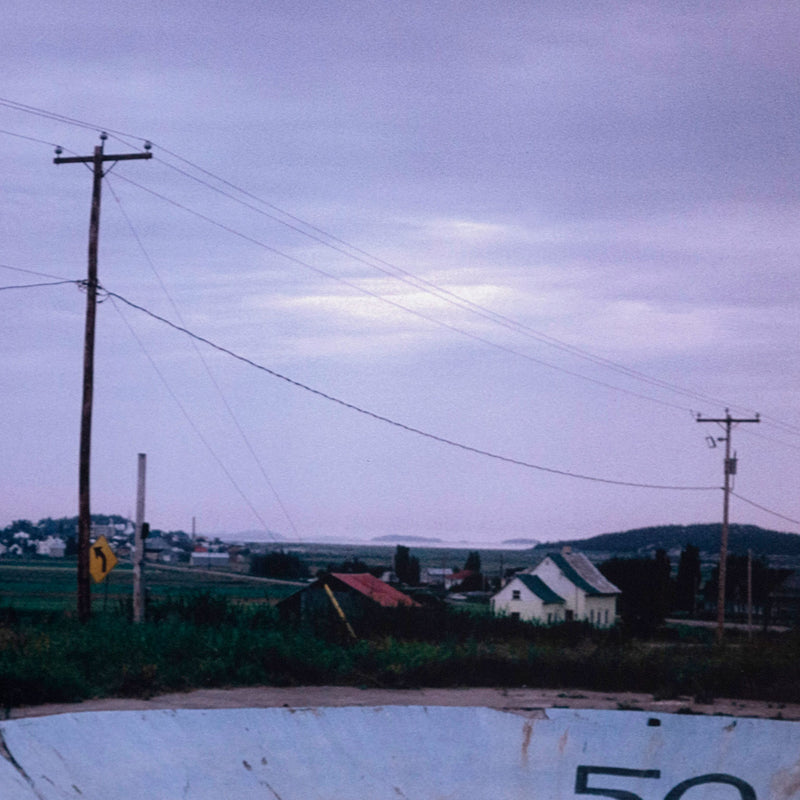 PETER DOIG "50" C-PRINT, 2000