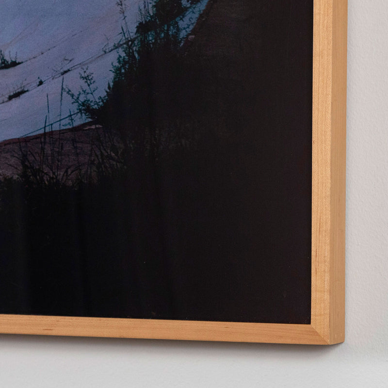 PETER DOIG "50" C-PRINT, 2000