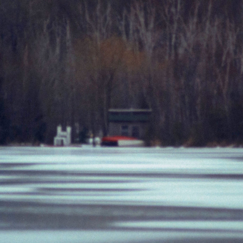 Detail shot of contemporary landscape photography with details of a winter forest. Peter Doig "Across the Lake" C-print, 2000.  