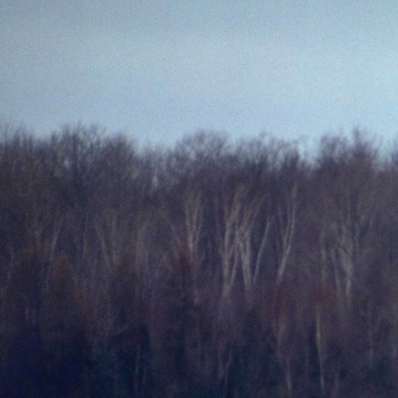 Winter landscape imagery by Peter Doig "Across the Lake" C-print, 2000. 