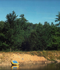 PETER DOIG "DINGY" C-PRINT, 2000