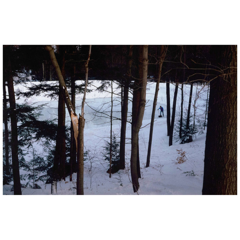 PETER DOIG "ICE RINK" C-PRINT, 2000