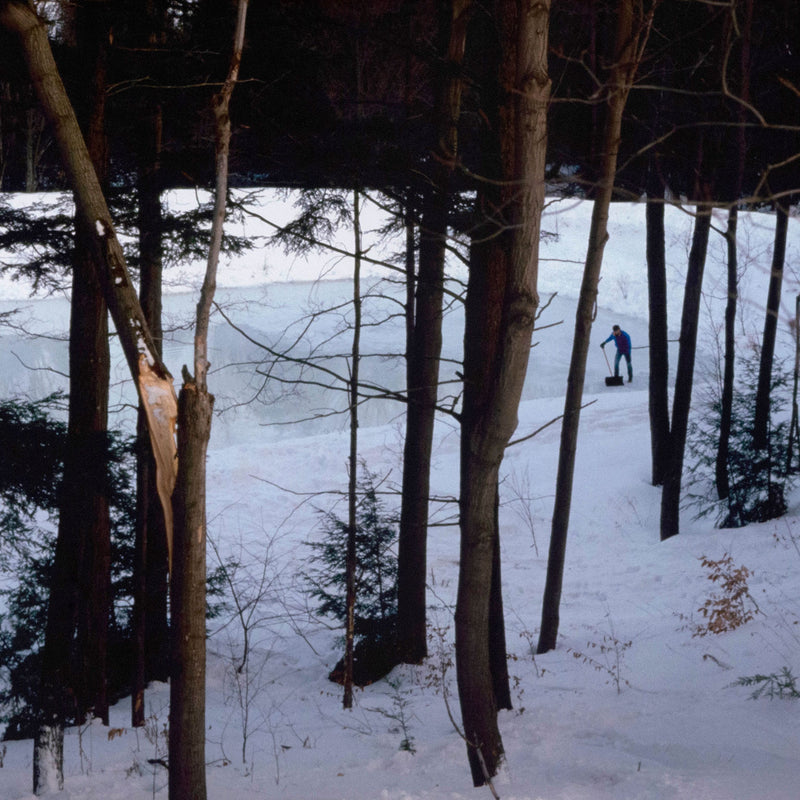 PETER DOIG "ICE RINK" C-PRINT, 2000