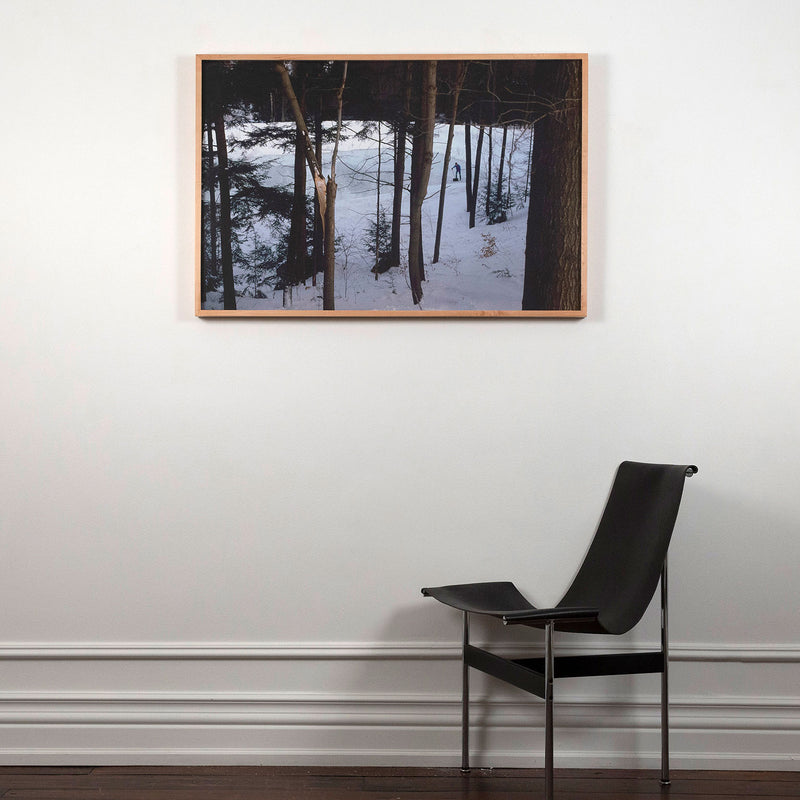 PETER DOIG "ICE RINK" C-PRINT, 2000