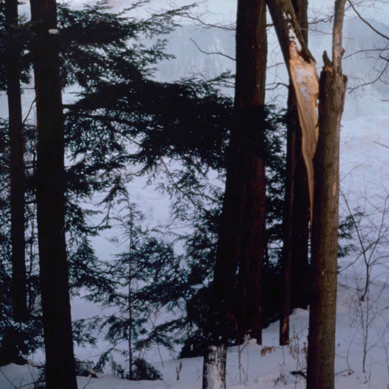 PETER DOIG "ICE RINK" C-PRINT, 2000