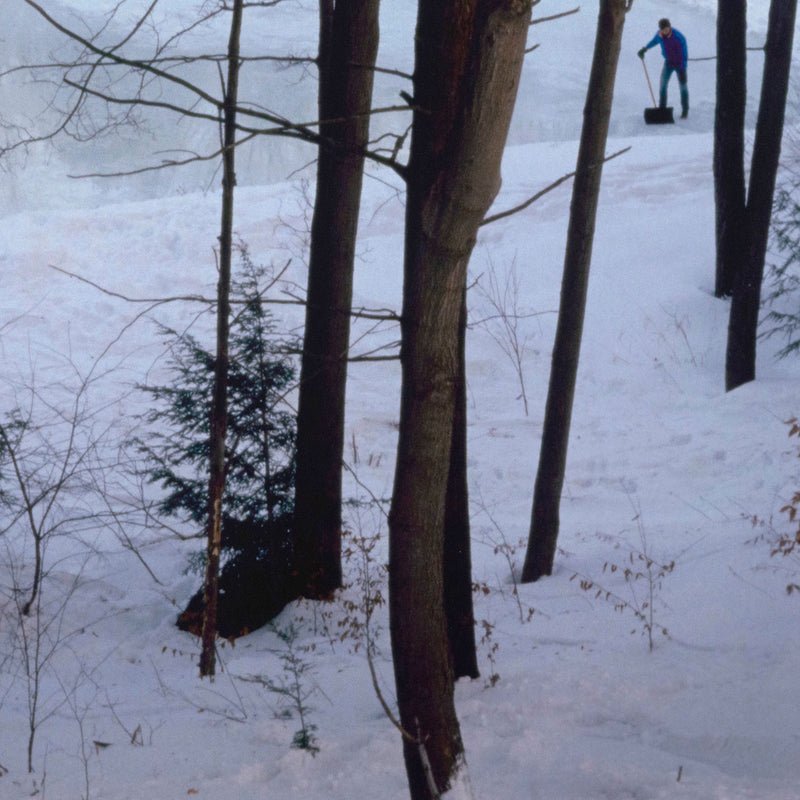 PETER DOIG "ICE RINK" C-PRINT, 2000