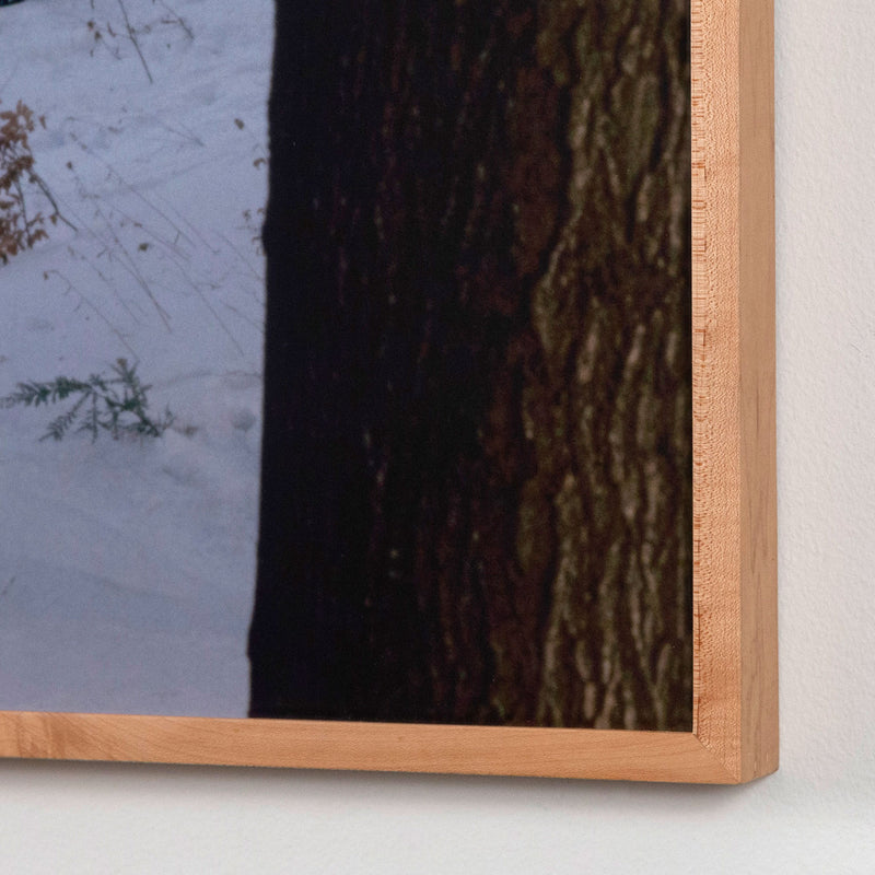 PETER DOIG "ICE RINK" C-PRINT, 2000