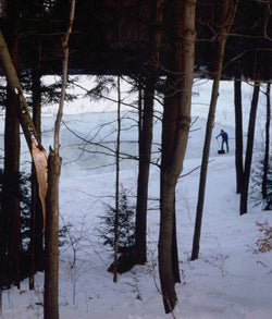 PETER DOIG "ICE RINK" C-PRINT, 2000