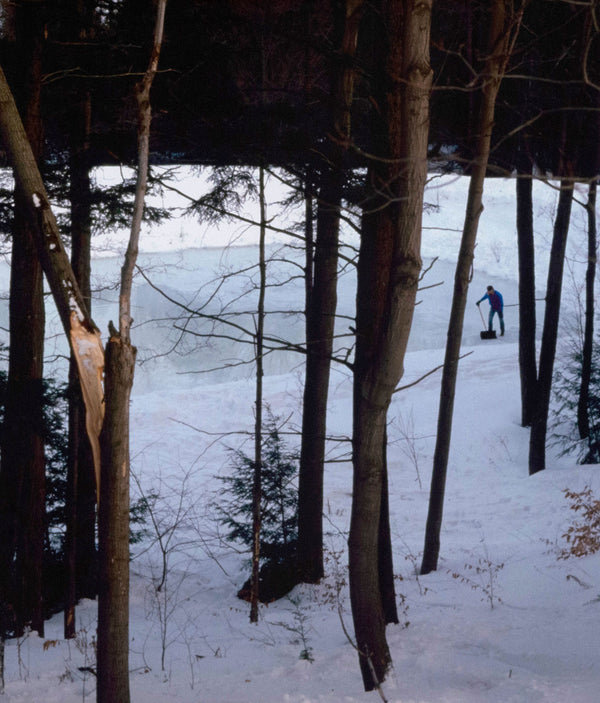 PETER DOIG "ICE RINK" C-PRINT, 2000