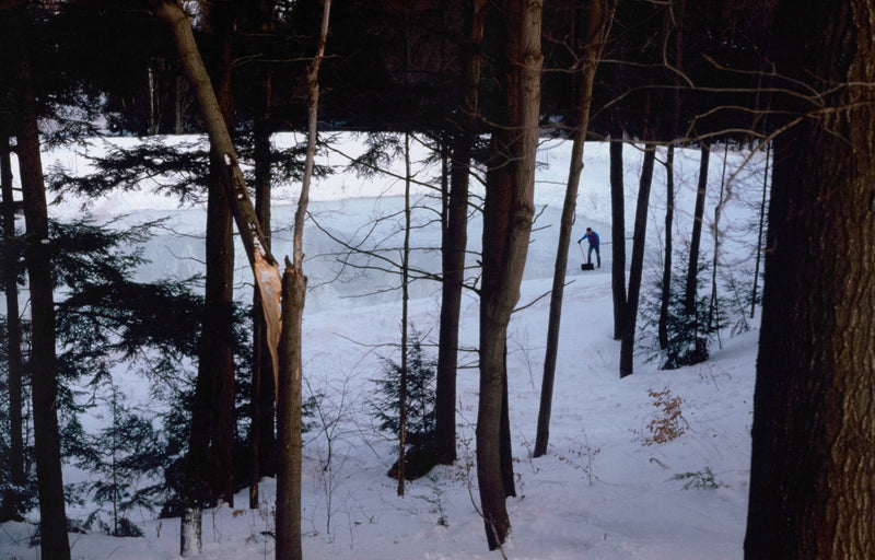 PETER DOIG "ICE RINK" C-PRINT, 2000