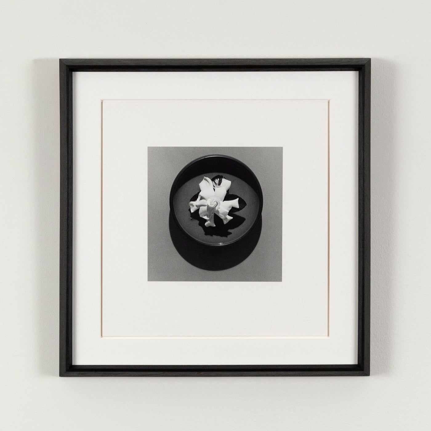 新品 ROBERT  MAPPLETHORPE アート・デザイン・音楽