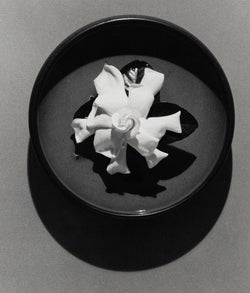 ROBERT MAPPLETHORPE "GARDENIA", 1978