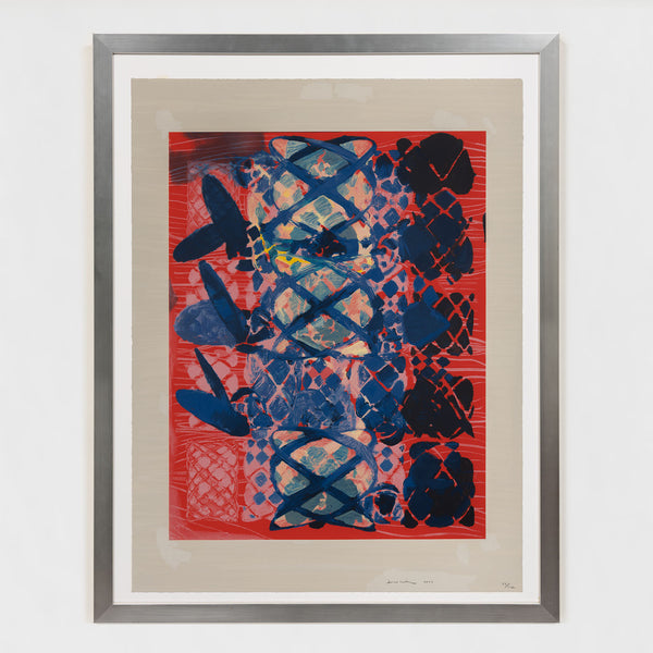 terry winters illustrated set lincoln center edition screenprint 2010 limited edition american artist organic chemistry red art red print serigraph collect terry winters american art framed unique