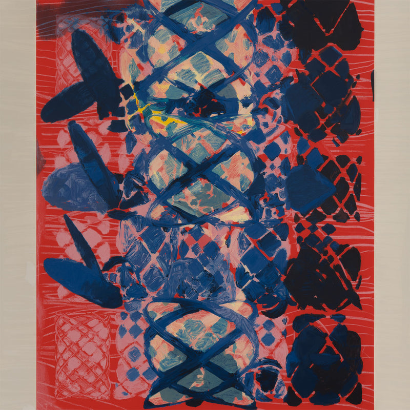 terry winters illustrated set lincoln center edition screenprint 2010 limited edition american artist organic chemistry red art red print serigraph collect terry winters american art signed 