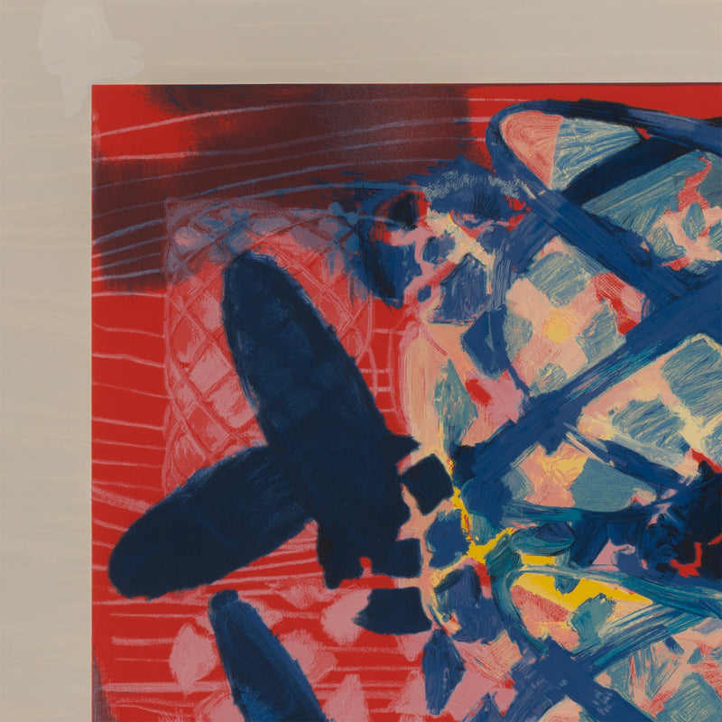 terry winters illustrated set lincoln center edition screenprint 2010 limited edition american artist organic chemistry red art red print serigraph collect terry winters american art signed 