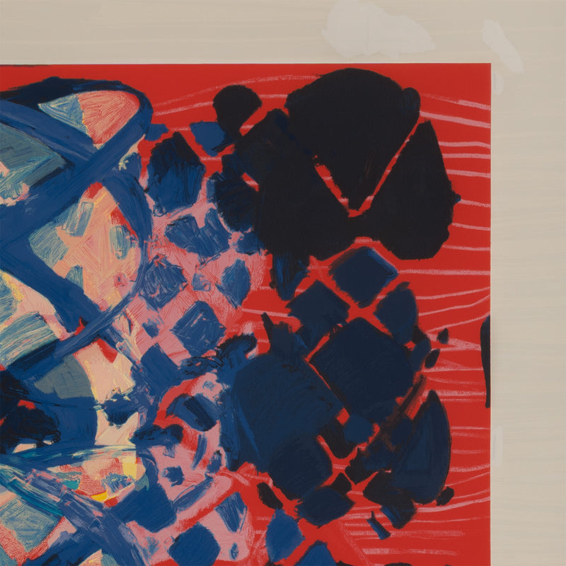 terry winters illustrated set lincoln center edition screenprint 2010 limited edition american artist organic chemistry red art red print serigraph collect terry winters american art signed 