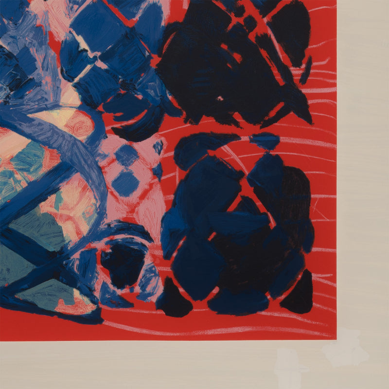 terry winters illustrated set lincoln center edition screenprint 2010 limited edition american artist organic chemistry red art red print serigraph collect terry winters american art signed 