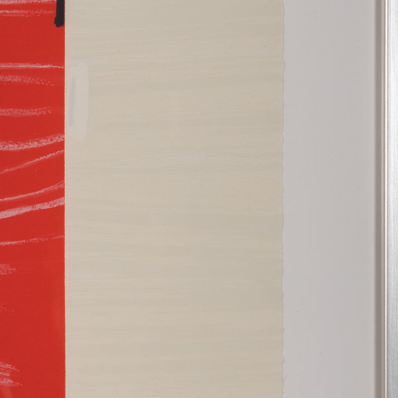 terry winters illustrated set lincoln center edition screenprint 2010 limited edition american artist organic chemistry red art red print serigraph collect terry winters american art signed 