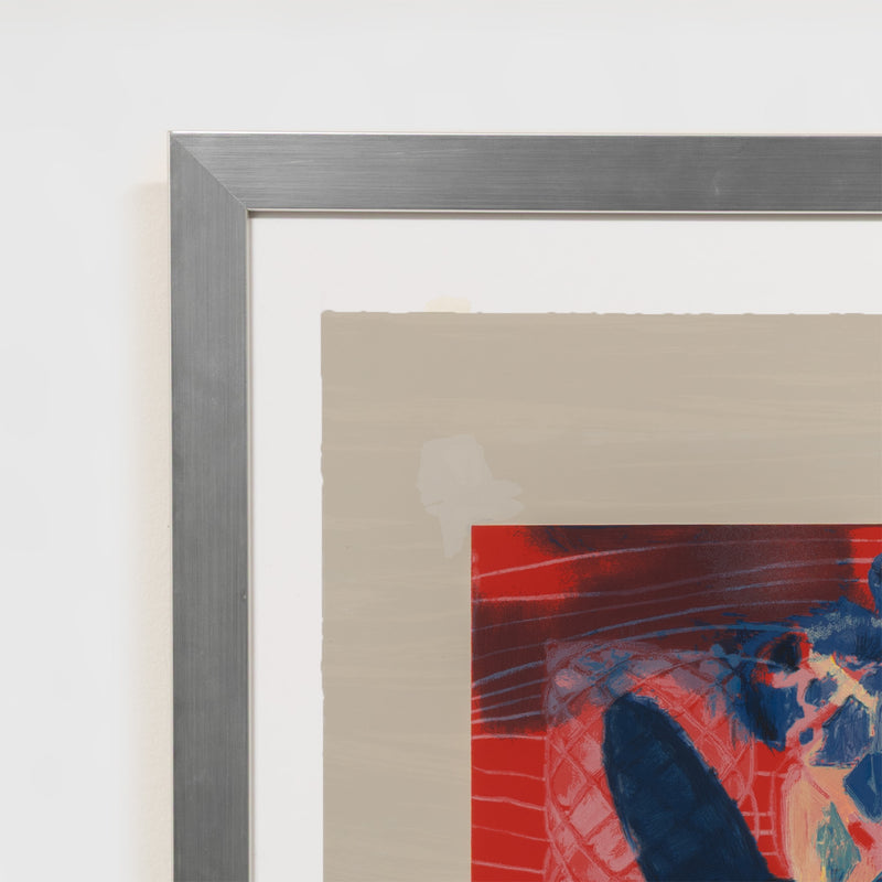 terry winters illustrated set lincoln center edition screenprint 2010 limited edition american artist organic chemistry red art red print serigraph collect terry winters american art signed 