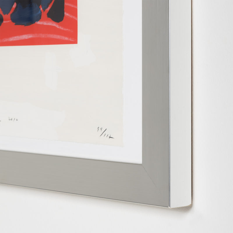 terry winters illustrated set lincoln center edition screenprint 2010 limited edition american artist organic chemistry red art red print serigraph collect terry winters american art signed 