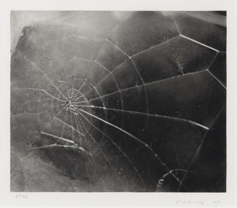 Vija Celmins spider web spiderweb printmaking print serigraph screenprint iconic american artists latvia printmaker fragile charcoal spider web caviar20 toronto gallery process black and white b&W greyscale grayscale revered printmaking limited edition RP high-res highres