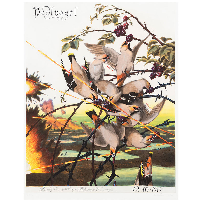 WALTON FORD "PESTVOGEL" 2016