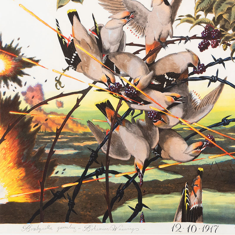 WALTON FORD "PESTVOGEL" 2016