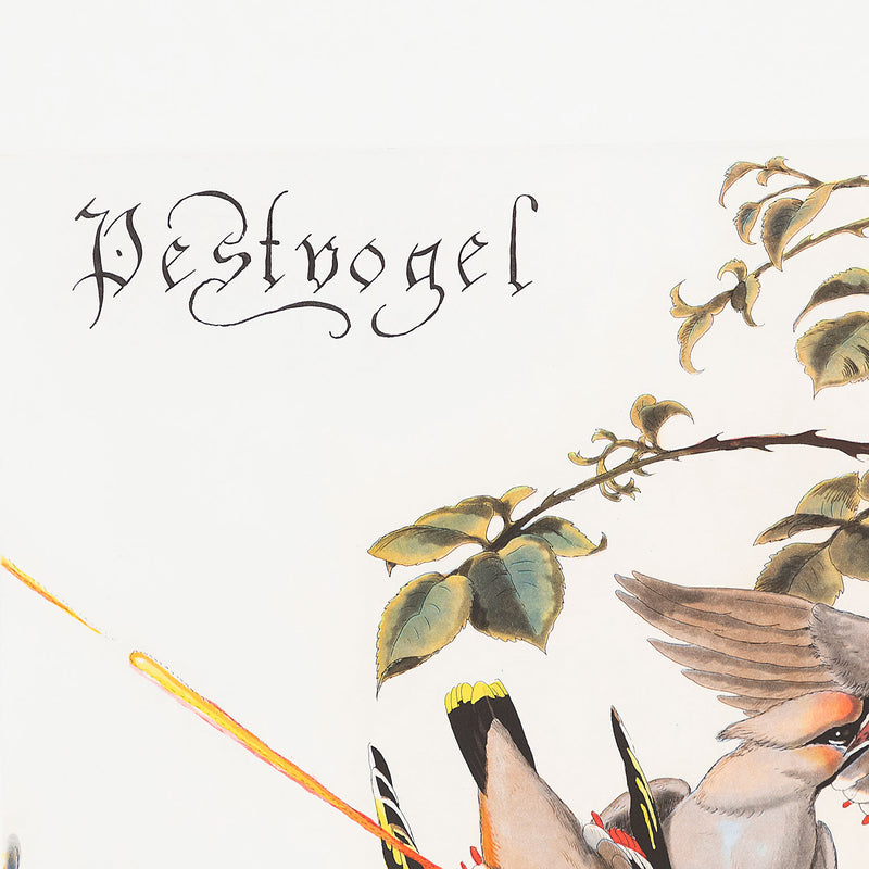 WALTON FORD "PESTVOGEL" 2016