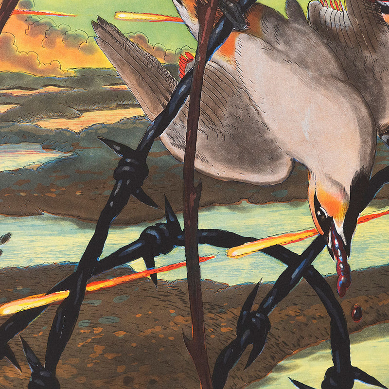 WALTON FORD "PESTVOGEL" 2016
