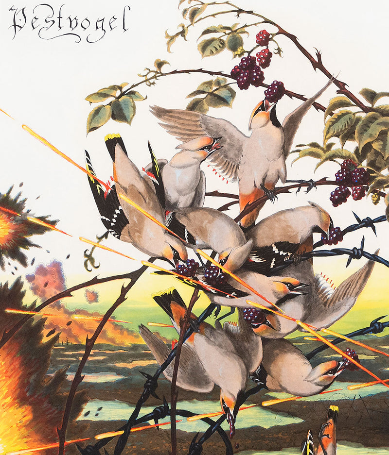 WALTON FORD "PESTVOGEL" 2016