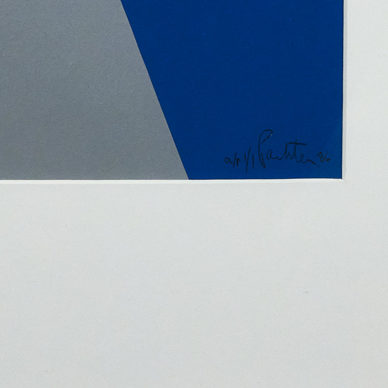 CHARLES PACHTER "FLOAT" 1986