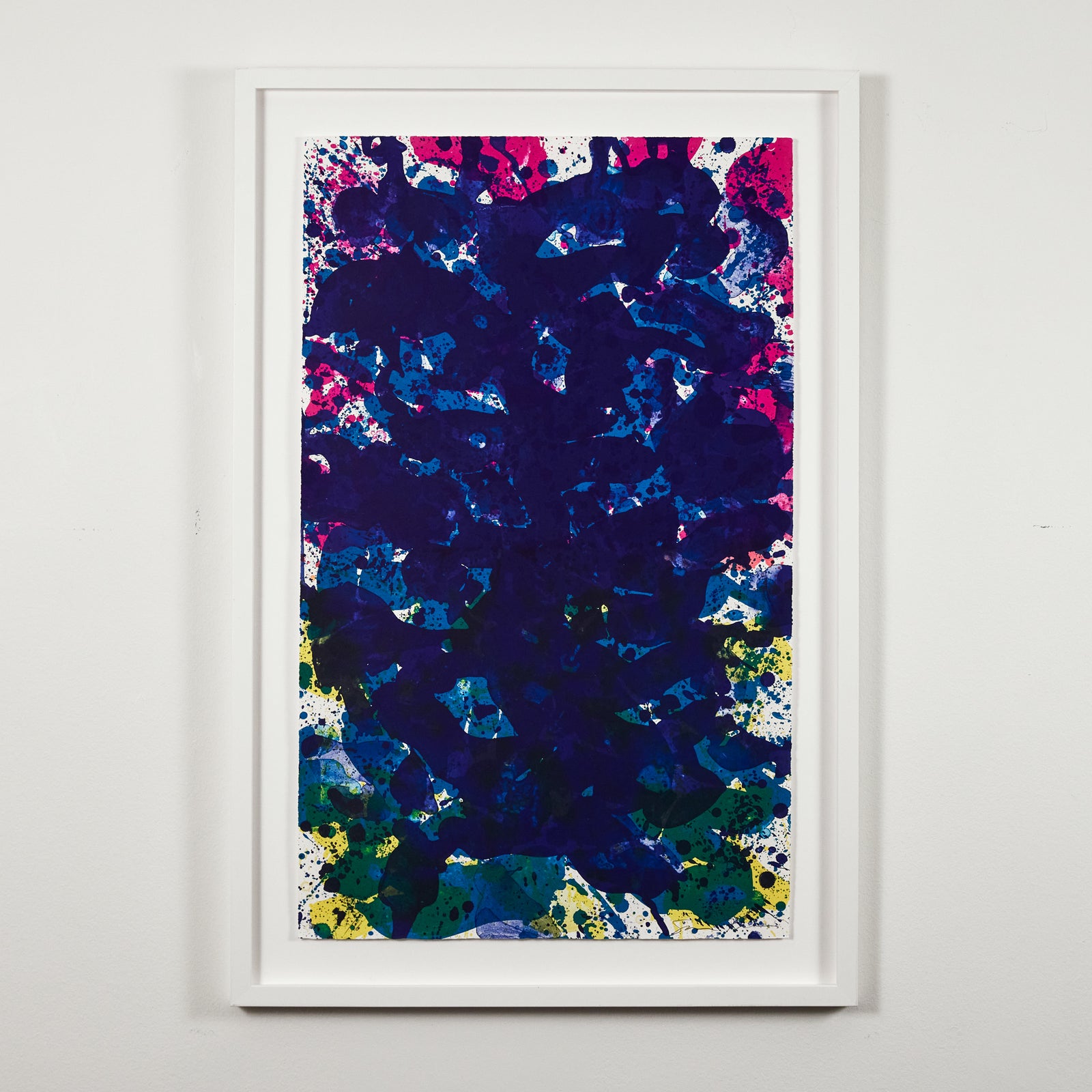 SAM FRANCIS 