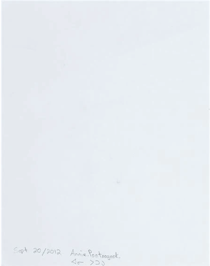 ANNIE POOTOOGOOK "MOTHER AND CHILD" DRAWING, 2012