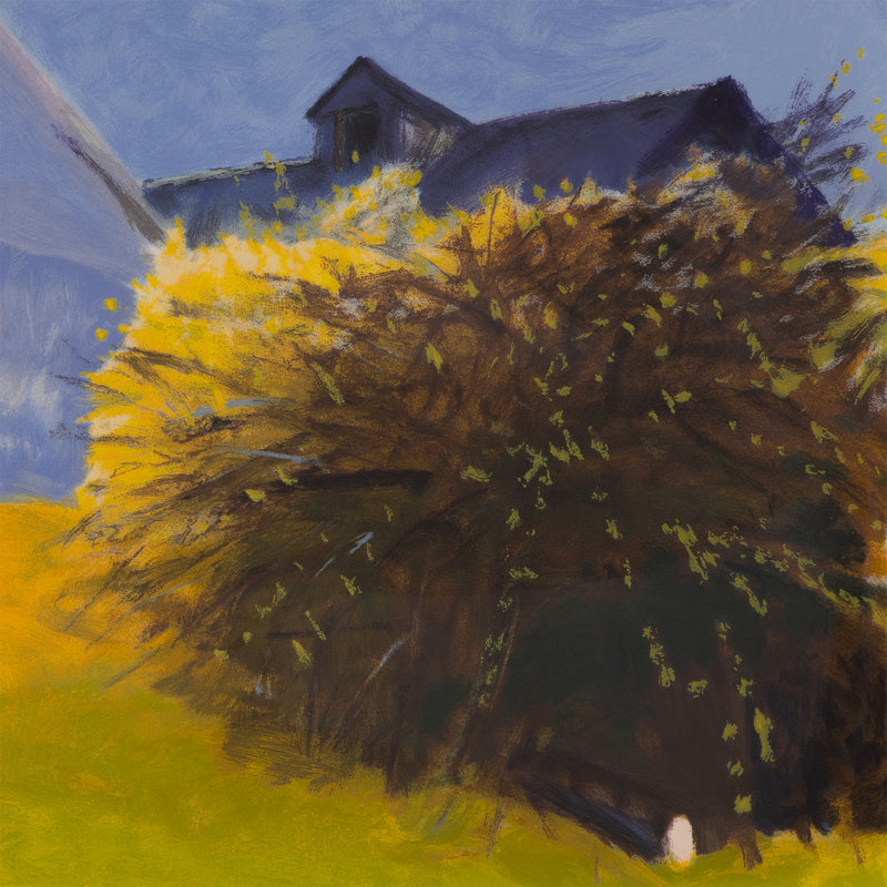 wolf kahn barn and forsythia III 2003 limited edition print barn lincoln center for the performing arts new york city edition kahn barn colorful screenprint collect iconic artwork 