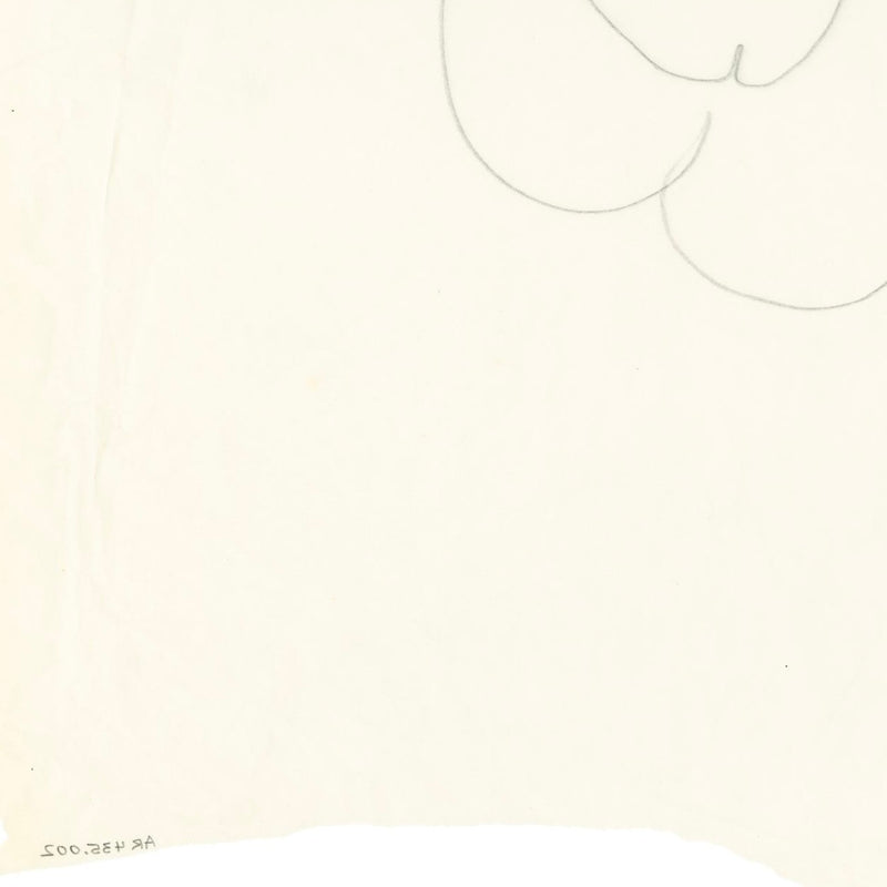 ANDY WARHOL "THE CROWN JEWELS" DRAWING, 1956