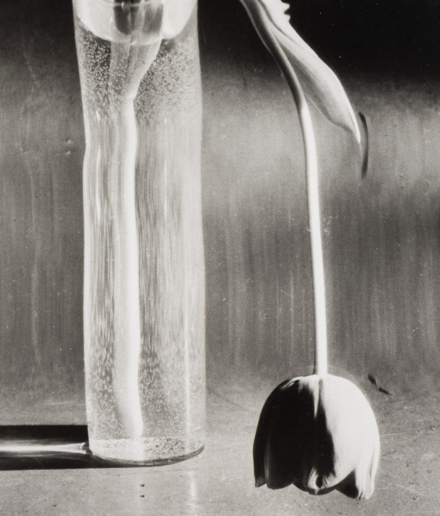 ANDRE KERTESZ 