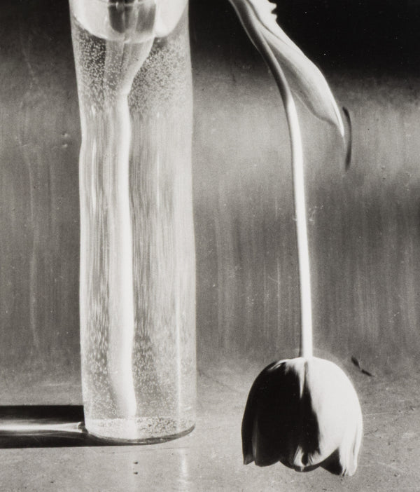 ANDRE KERTESZ 