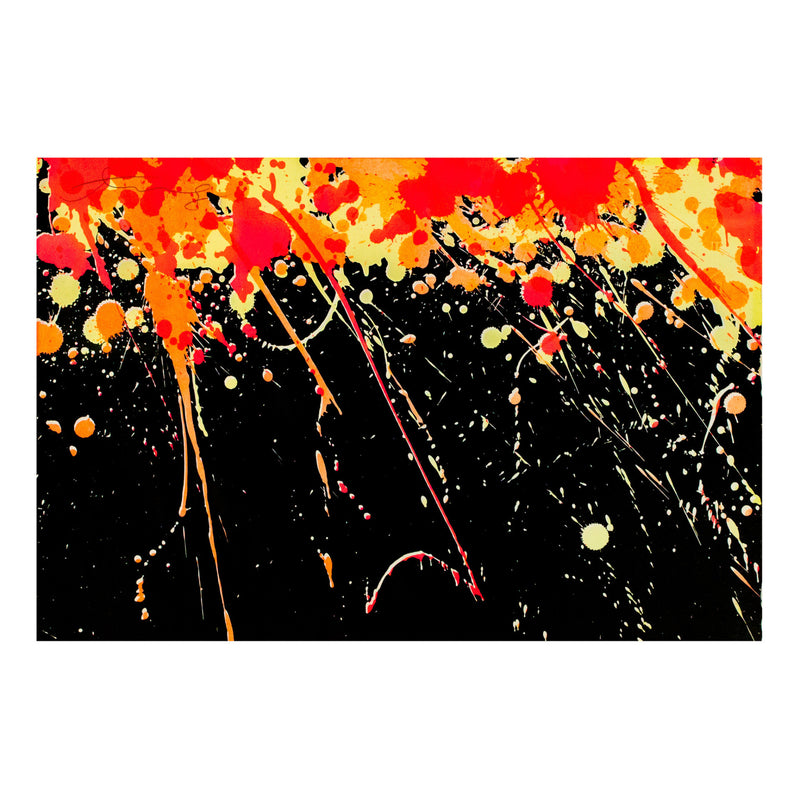 Walasse Ting Fireworks Caviar20 prints