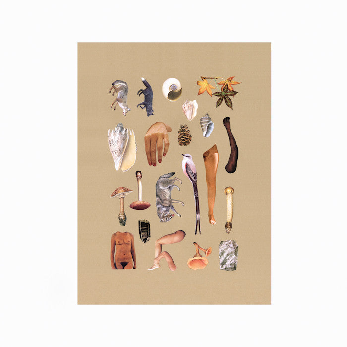 DAVID WOODWARD "MEDITATION ON THE CANADIAN BUSH" 2014