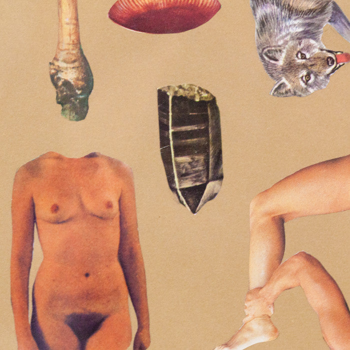 DAVID WOODWARD "MEDITATION ON THE CANADIAN BUSH" 2014