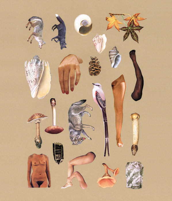 DAVID WOODWARD "MEDITATION ON THE CANADIAN BUSH" 2014