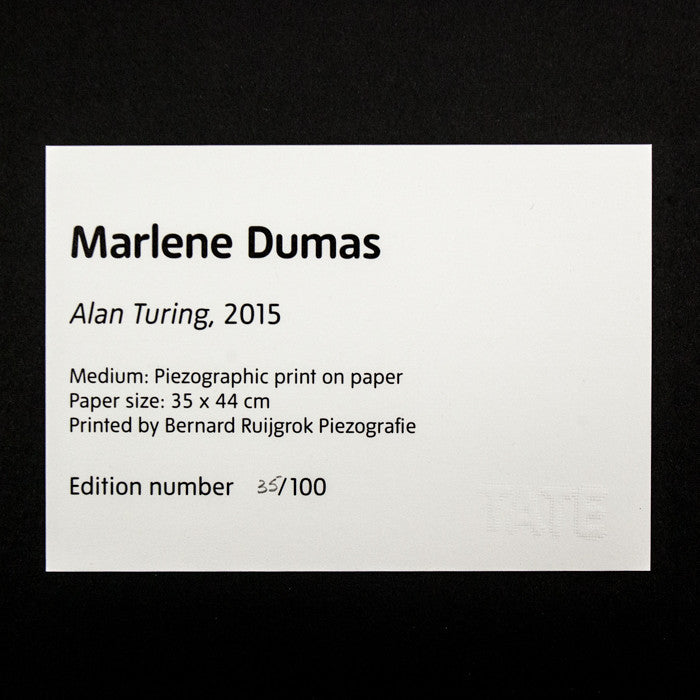 Marlene Dumas, Great Men, Alan Turing, Caviar20, prints