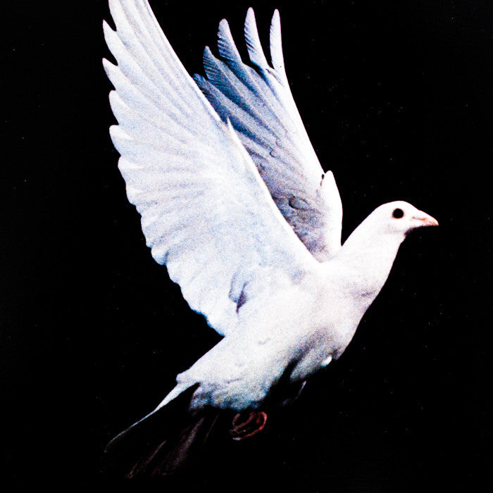 HAROLD EDGERTON "IN FLIGHT" PHOTOGRAPH, 1965