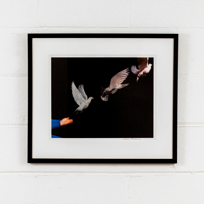 HAROLD EDGERTON "IN FLIGHT" PHOTOGRAPH, 1965