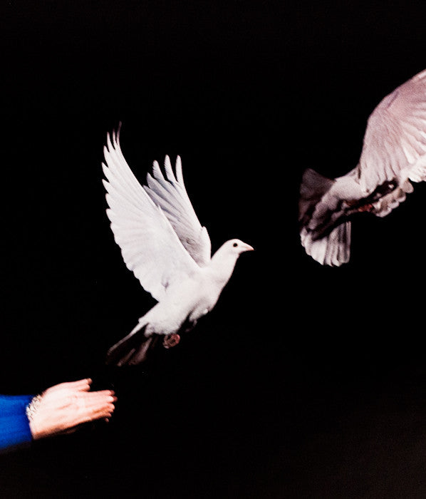 HAROLD EDGERTON "IN FLIGHT" PHOTOGRAPH, 1965